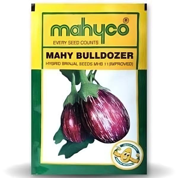 MHB-11-BULLDOZER-BRINJAL